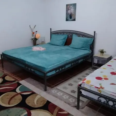 게스트하우스 Zambilelor 3